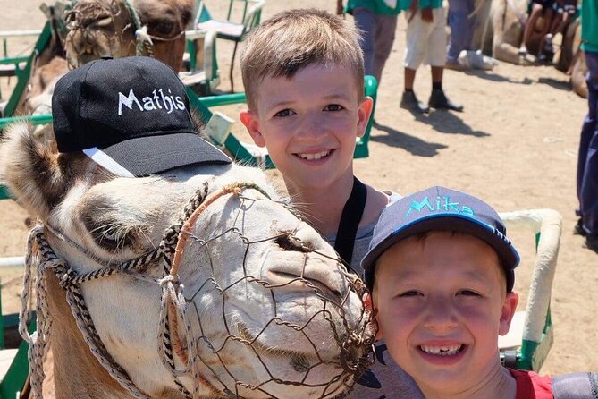 Camel Safari through the Dunes of Maspalomas - Heat strategy for a camel ride through the sand
