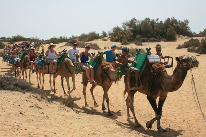 Camel Safari through the Dunes of Maspalomas - Your 30-minute plan: what to expect on the dunes
