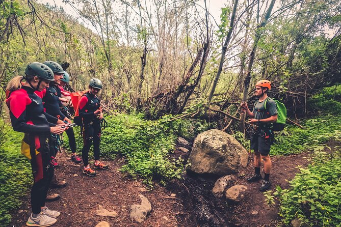 Canyoning with Waterfalls in the Rainforest - Small Groups ツ - What Canyoning Means on This Tour, Beyond the Word