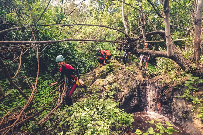 Canyoning with Waterfalls in the Rainforest - Small Groups ツ - What to Bring, So You’re Comfortable From the First Step