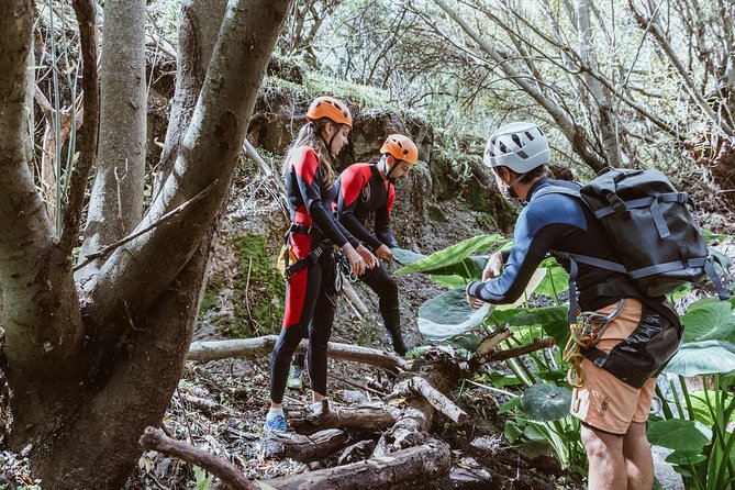 Canyoning with Waterfalls in the Rainforest - Small Groups ツ - Small Group Energy, Guide Style, and the Photo Bonus