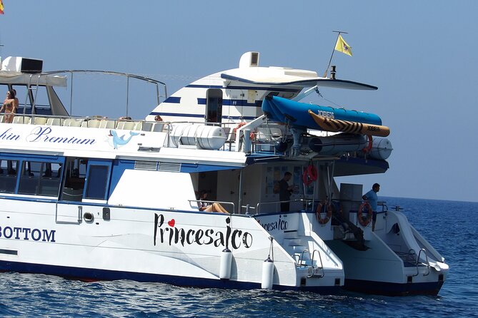 Catamaran Cruise from Puerto Rico (Full package) - Best Timing and Day-Planning Tips for a Smooth Sea Day