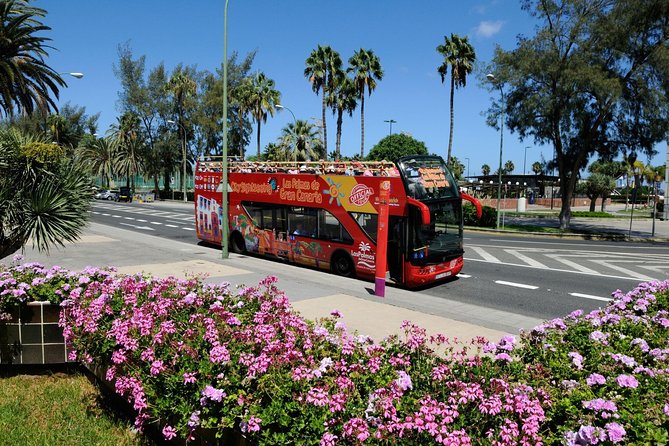 City Sightseeing Las Palmas de Gran Canaria Hop-On Hop-Off Bus Tour - Route rhythm and hours: when to plan your day