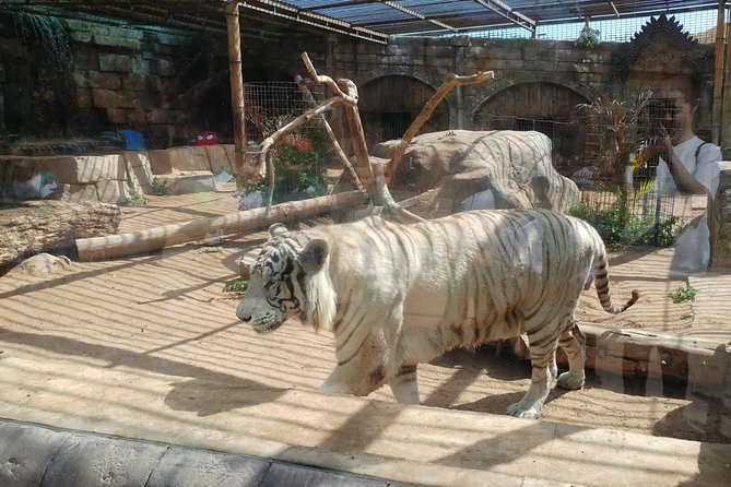 Cocodrilo Park Zoo Admission Ticket in Agüimes - Beyond reptiles: the variety that keeps kids interested