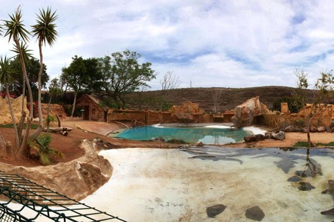 Cocodrilo Park Zoo Admission Ticket in Agüimes - Food and drinks: the monkey snack-bar option