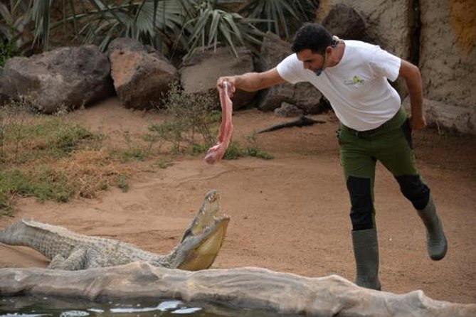 Cocodrilo Park Zoo Admission Ticket in Agüimes - Admission, hours, and timing for a smooth 4 to 6 hour visit