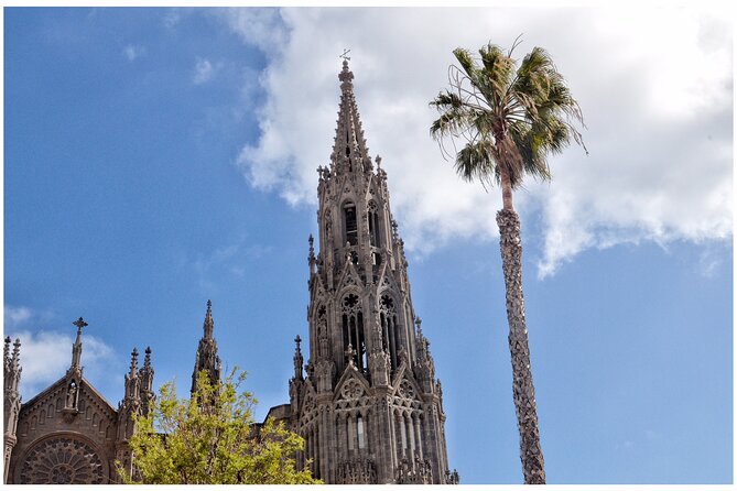 Coffee & Wine: North Route of Gran Canaria Tour - Price and logistics: what you are really paying for