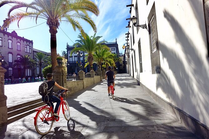 Discover Las Palmas City by Bike in 4 hours - Vegueta Stop 2: Basilica de Santa Ana and the Canarian Dog Moment