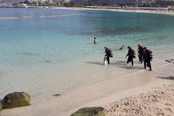 Discover Scuba diving in Gran Canaria with Hotel Pick-up - Amadores Bay and the Angel Shark Moment