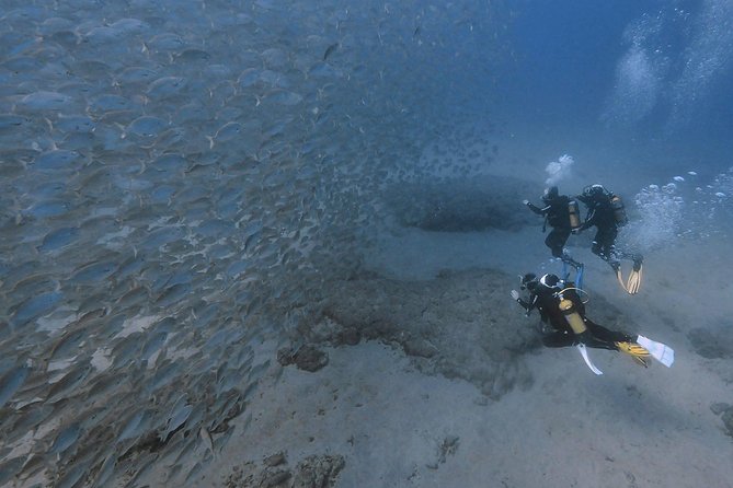 Discover Scuba Diving in Puerto de Mogan - Who This Experience Fits Best in Your Gran Canaria Plan
