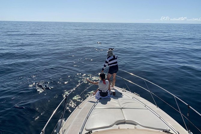 Dolphin Searching Tour in Puerto de Mogán ("KEEPER UNO" Boat) - Why the Keeper Uno dolphin search feels more real than big-boat tours