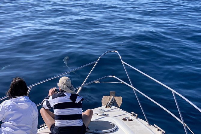 Dolphin Searching Tour in Puerto de Mogán ("KEEPER UNO" Boat) - Lunch, soft drinks, and the small-boat comfort factor