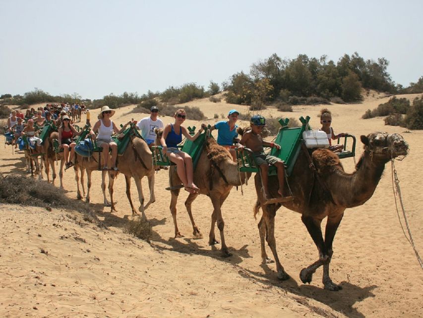E-Bike City Tour with Camel Safari on Maspalomas Sand Dunes - Logistics that can make or break your day