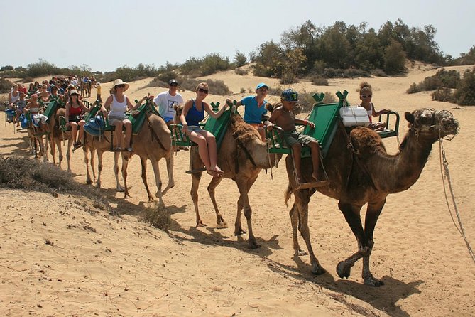 e-Scooter City Tour + Camel Ride inside Maspalomas Dunes - Stop 4: Campo del Golf de Maspalomas and the green return