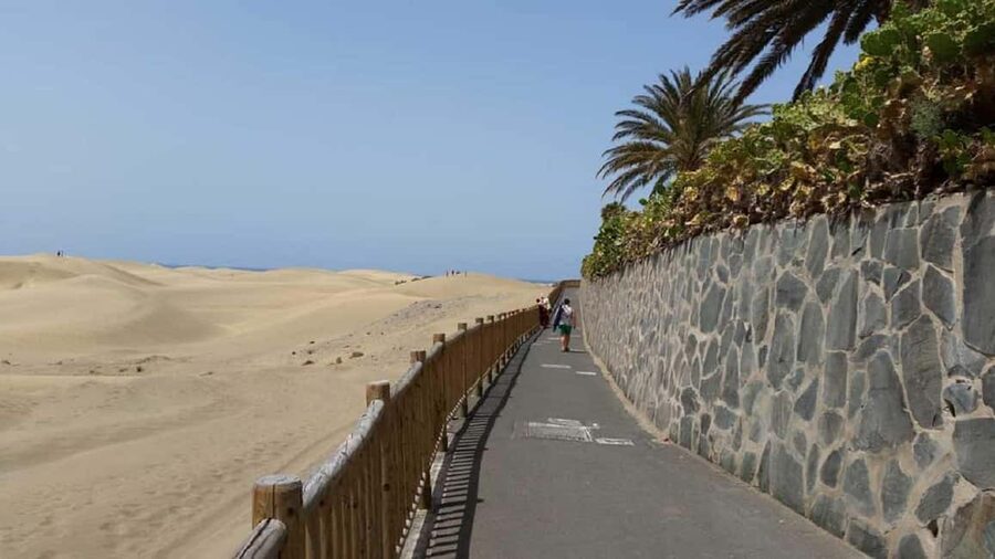 e-Scooter Step Kickstart Guided Tour: Sightseeing Maspalomas - Campo international Bike Lines: learning Canary plant life as you glide