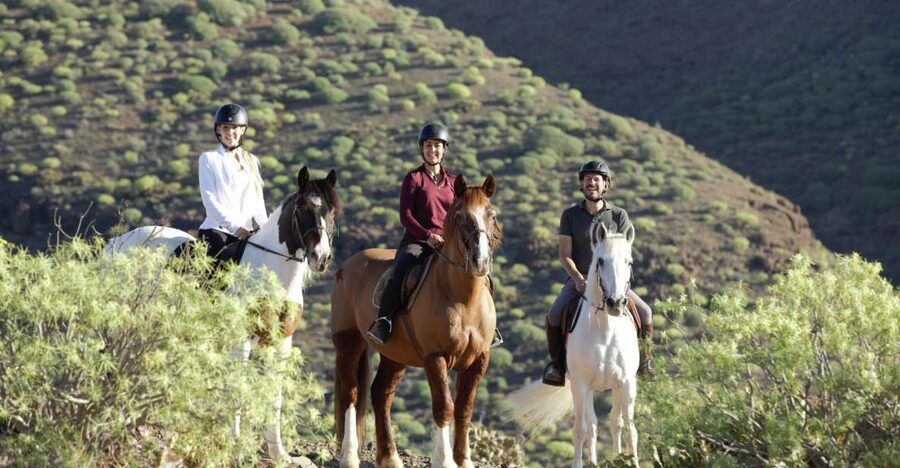 El Salobre: Horse Riding Adventure with Transfer Options - Key things to know before you ride