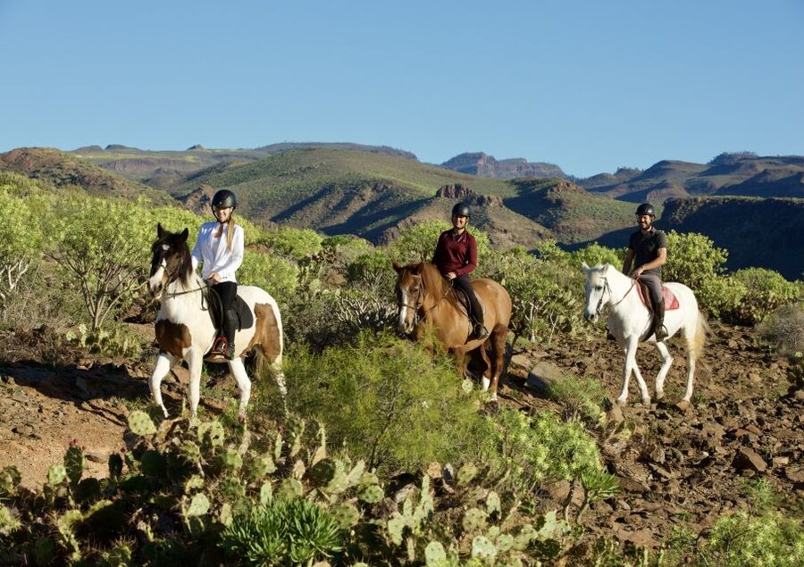 El Salobre: Horse Riding Adventure with Transfer Options - Entering El Salobre, meeting your horse, and getting set up