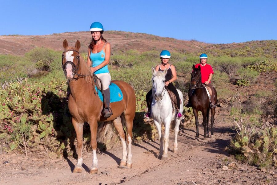 El Salobre: Horse Riding Adventure with Transfer Options - Maspalomas dunes from the hilltop view