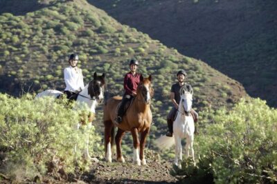 Horse Riding Adventure with Transfer Options