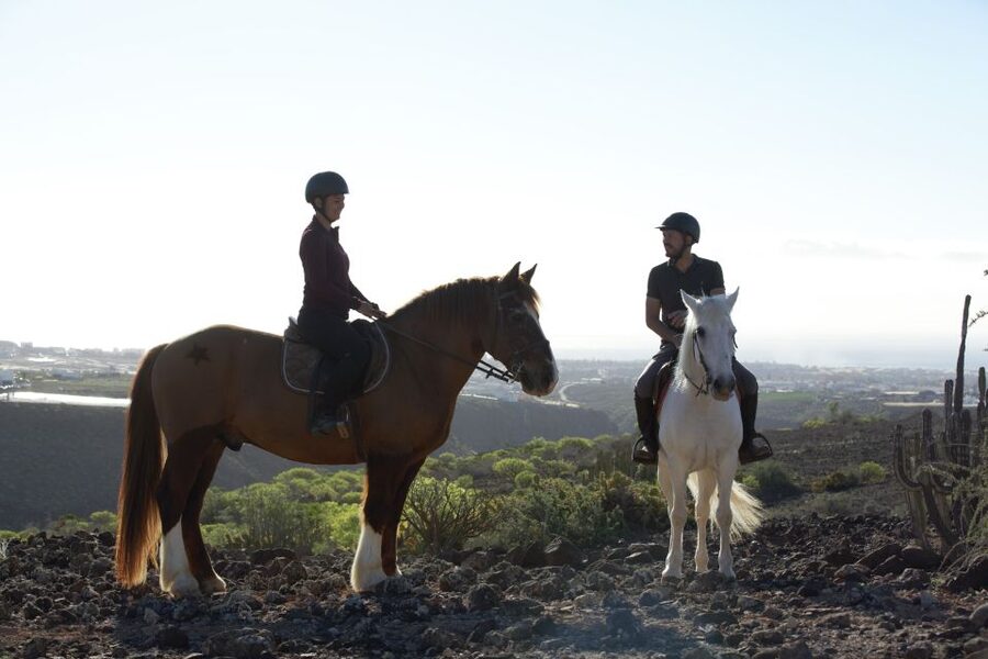 El Salobre: Horse Riding Adventure with Transfer Options - Transfers from your hotel, and how to plan your timing