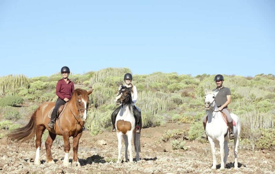 El Salobre: Horse Riding Adventure with Transfer Options - What you get for the price, and whether it’s a good value