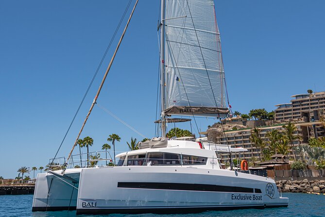Exclusive Private Charter in Gran Canaria - Key highlights worth planning for