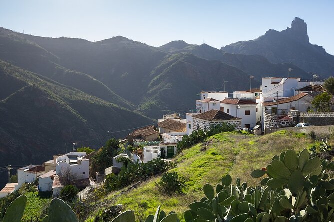 Firgas, Tejeda, Guayadeque - VIP Tour Gran Canaria - Tunte to Fataga, Aloe Vera Plantation Visits, and Trying the Product