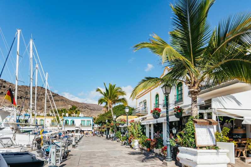 From Las Palmas: Highlights of Gran Canaria Day Tour - Key Points That Matter