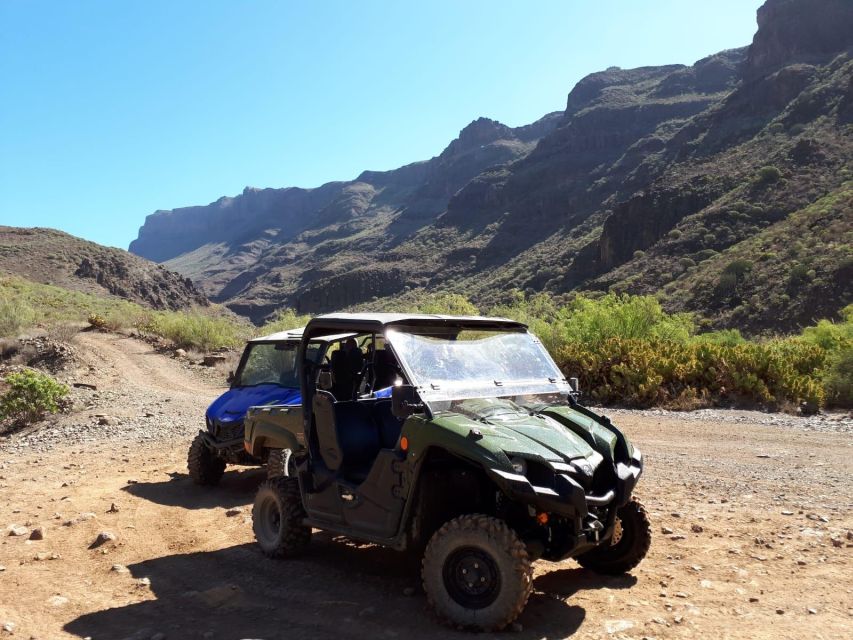 From Maspalomas: Volcanic Landscapes 4-Seater Buggy Tour - What the Guide Adds: Island History You Can See, Not Just Hear