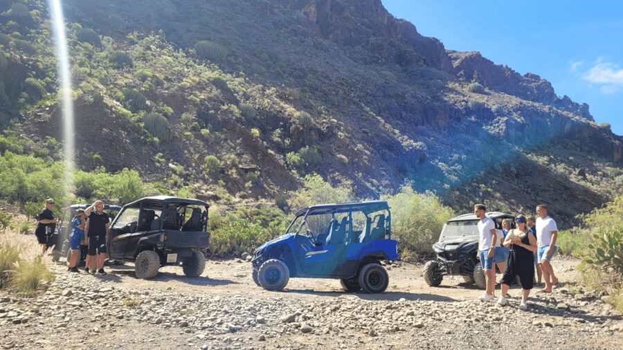 From Maspalomas: Volcanic Landscapes 4-Seater Buggy Tour - Who This Tour Fits Best (And Who Should Skip It)