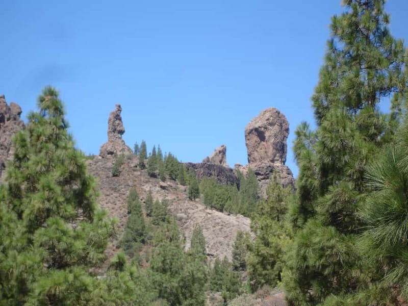 From Palmas: Pico de las Nieves & Roque Nublo Full-Day Trip - Bandama volcano crater: the dramatic warm-up stop