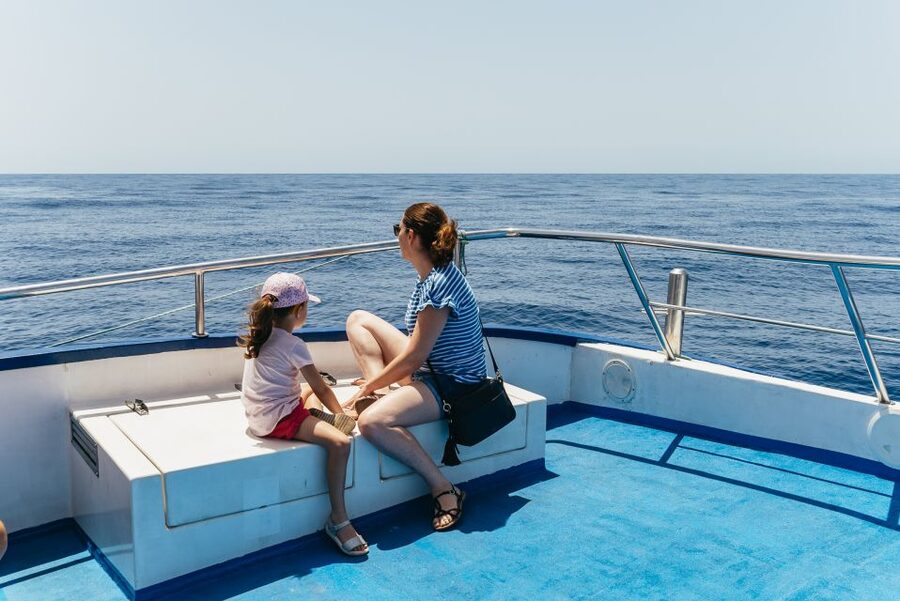 From Puerto Rico de Gran Canaria: Dolphin Watching Cruise - Who should book Spirit of the Sea, and who should think twice