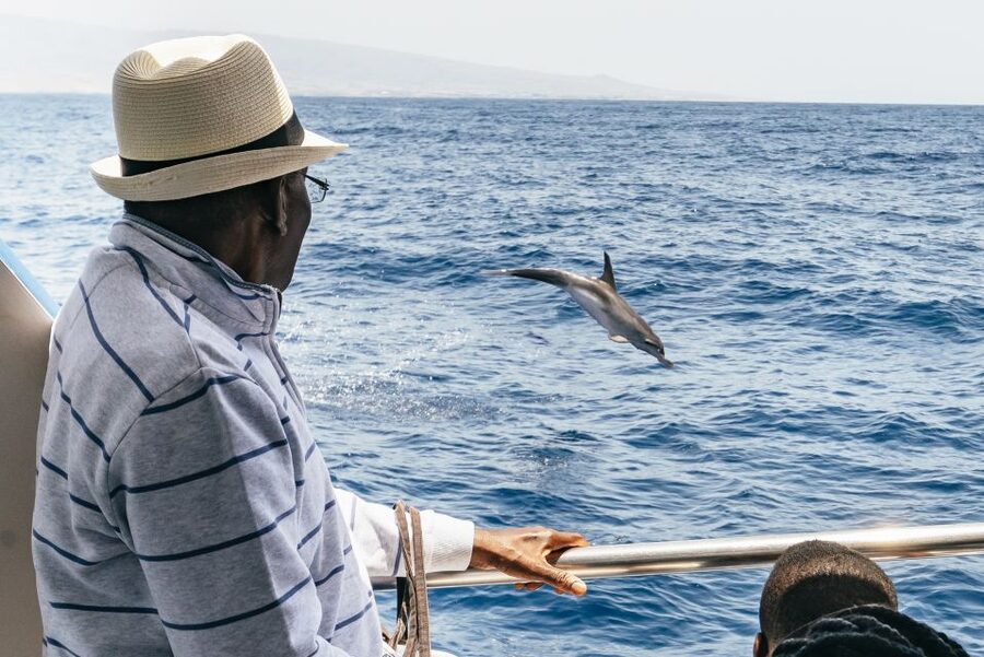 From Puerto Rico de Gran Canaria: Dolphin Watching Cruise - Weather, sea state, and the seasickness reality check