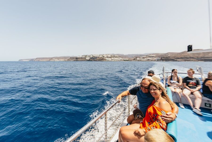 From Puerto Rico de Gran Canaria: Dolphin Watching Cruise - Coastal views on the way back, and the short swim stop (if conditions allow)