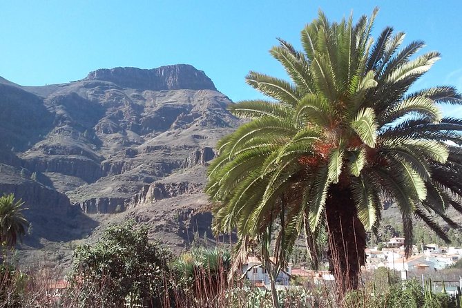 Full Day Across the Island Tour from Las Palmas - Comfort on Board, and Real Talk About the Mountain Roads