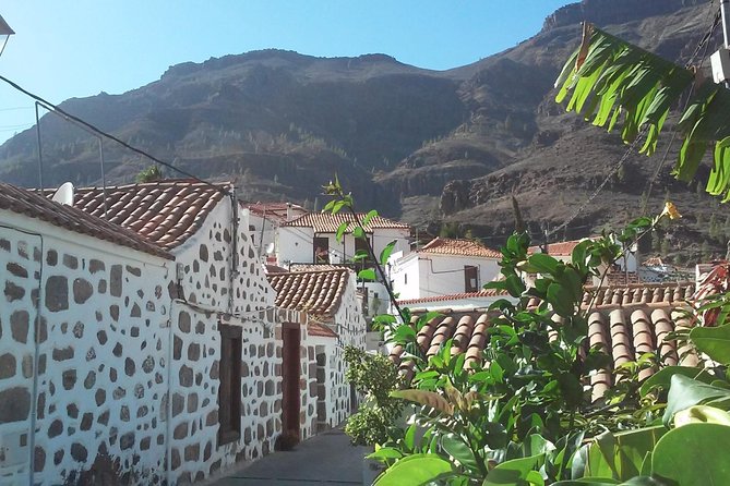 Full Day Across the Island Tour from Las Palmas - Price and Value: What You Get for About $55.63