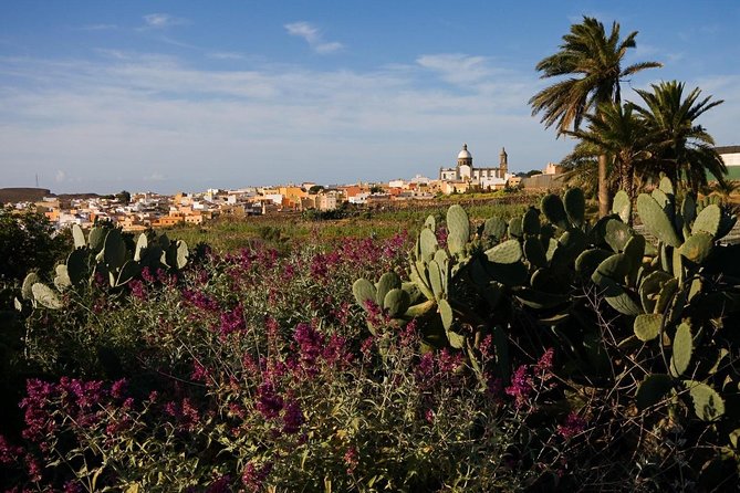 Full-Day Gran Canaria Island Tour - Cumbres - The Aloe Vera Farm Stop: The Good Add-On and the Shopping Pressure