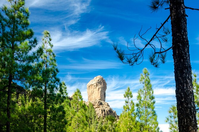Full-Day Gran Canaria Tour with Teror, Tejeda and Lunch in Fataga - Teror’s Calle Real de la Plaza and the Basilica of Our Lady of the Pine