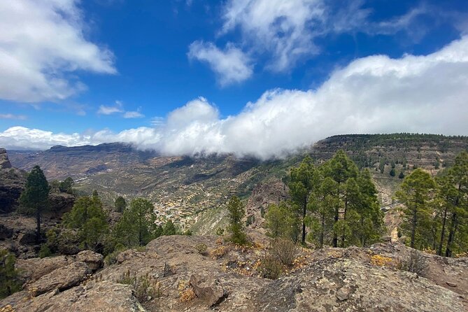 Full-Day Gran Canaria Tour with Teror, Tejeda and Lunch in Fataga - Tejeda’s whitewashed houses and red roofs, plus those big hillside views