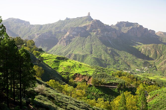 Full-Day Gran Canaria Tour with Teror, Tejeda and Lunch in Fataga - Mirador de las Tirajanas photo stop and the Roque Nublo views