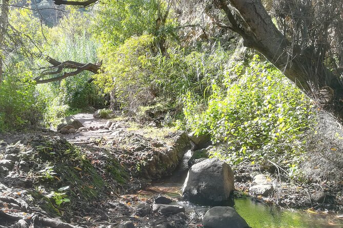 Full day Hiking and Waterfalls Experience - Key Highlights You Should Know Before You Go