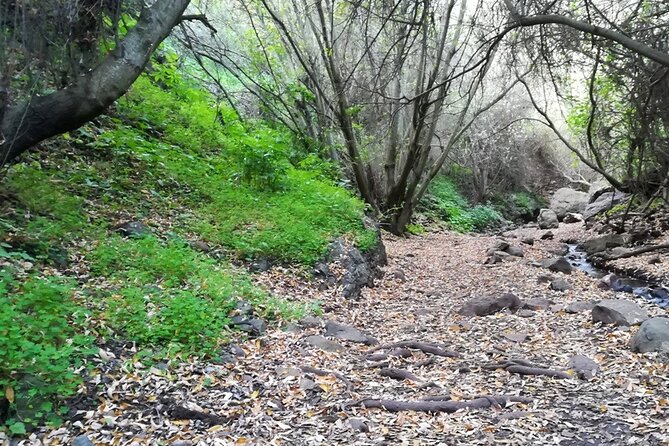 Full day Hiking and Waterfalls Experience - 9:00 a.m. Start, Pickup, and the Small-Group Advantage