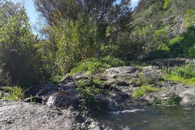 Full day Hiking and Waterfalls Experience - Waterfalls: The Main Attraction and What Makes Them Special