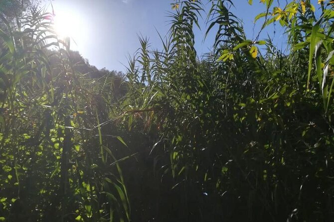 Full day Hiking and Waterfalls Experience - The Route’s Big Idea: South Dry Air Meets North Weather