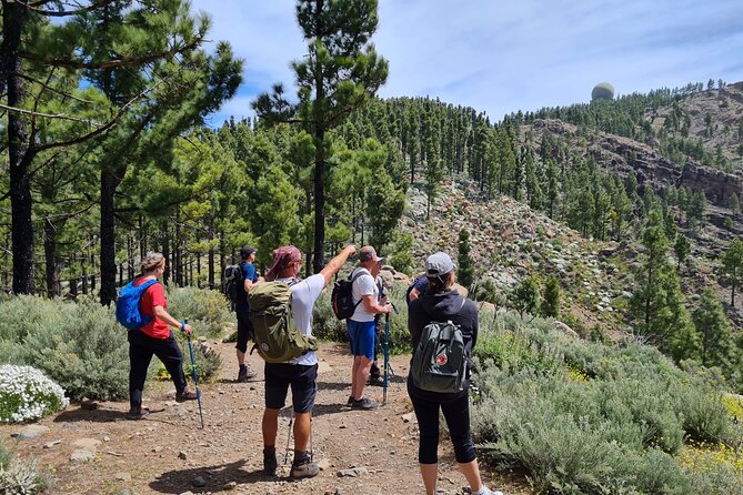 Full day Hiking Gran Canaria Peaks of Gran Canaria - Key Highlights You Should Know