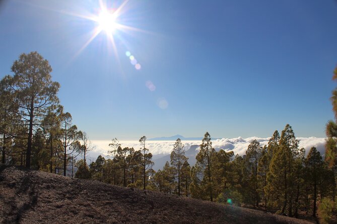 Full day Hiking Gran Canaria Peaks of Gran Canaria - Entering The High Peaks: Where Pico de las Nieves Meets Roque Nublo Views