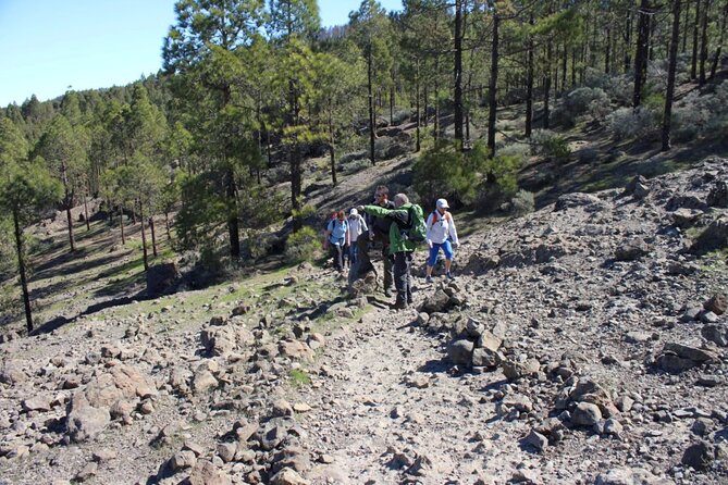 Full day Hiking Gran Canaria Peaks of Gran Canaria - Lunch Around 3:30 PM: A Real Meal at the End, Plus Snack Sense