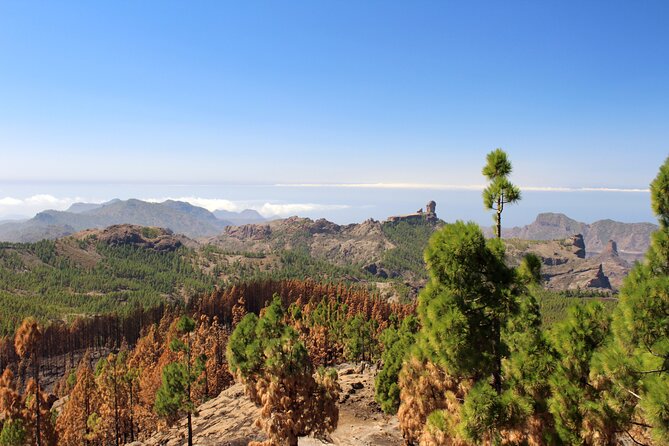 Full day Hiking Gran Canaria Peaks of Gran Canaria - Guide Maciej and the Small-Group Advantage: How the Day Stays Friendly