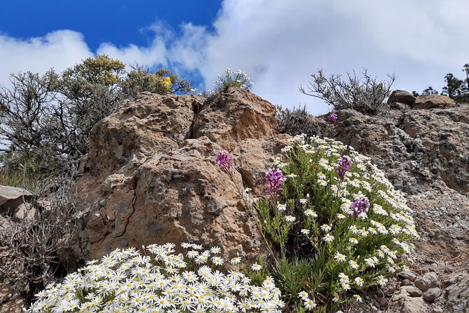 Full day Hiking Gran Canaria Peaks of Gran Canaria - Gear, Clothing, and Weather Reality: Shoes Get Checked First
