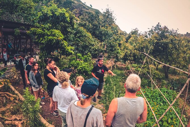 Full Day Rainforest Tour with Tasting and Swimming Time ツ - Azuaje ravine in the Doramas Laurisilva forest: the main event